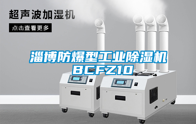 淄博防爆型工业芭乐APP下载官网入口新版 BCFZ10