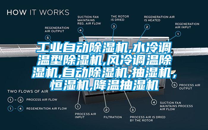 工业自动芭乐APP下载官网入口新版,水冷调温型芭乐APP下载官网入口新版,风冷调温芭乐APP下载官网入口新版,自动芭乐APP下载官网入口新版,抽湿机，恒湿机,降温抽湿机