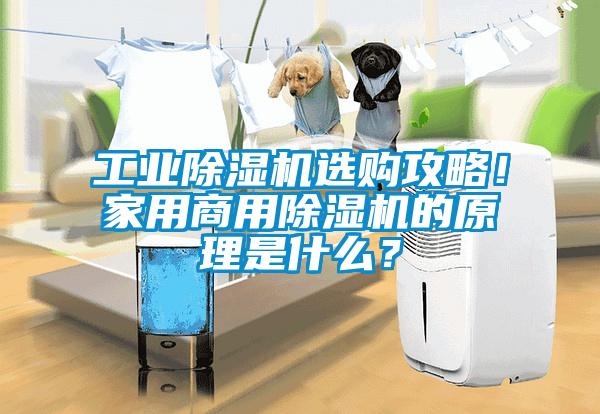 工业芭乐APP下载官网入口新版选购攻略！家用商用芭乐APP下载官网入口新版的原理是什么？