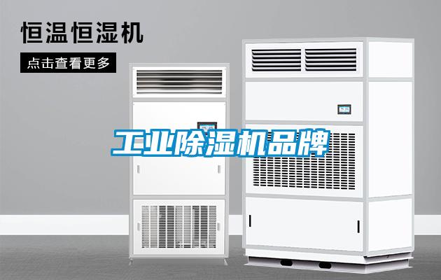 工业芭乐APP下载官网入口新版品牌