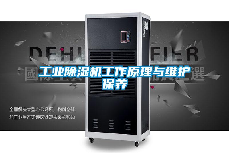 工业芭乐APP下载官网入口新版工作原理与维护保养