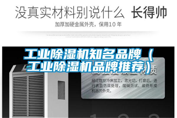 工业芭乐APP下载官网入口新版知名品牌（工业芭乐APP下载官网入口新版品牌推荐）