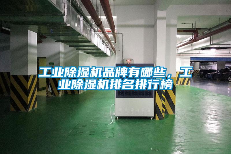 工业芭乐APP下载官网入口新版品牌有哪些，工业芭乐APP下载官网入口新版排名排行榜