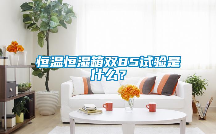 恒温恒湿箱双85试验是什么？