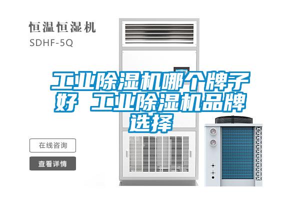 工业芭乐APP下载官网入口新版哪个牌子好 工业芭乐APP下载官网入口新版品牌选择