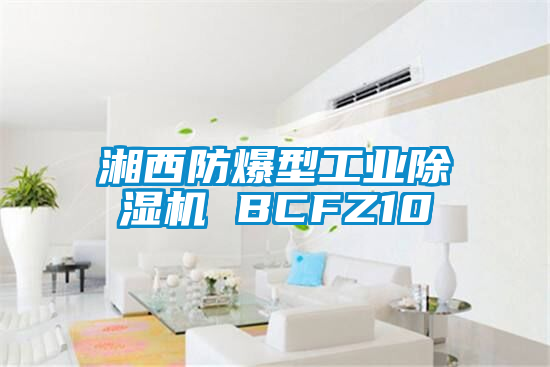 湘西防爆型工业芭乐APP下载官网入口新版 BCFZ10