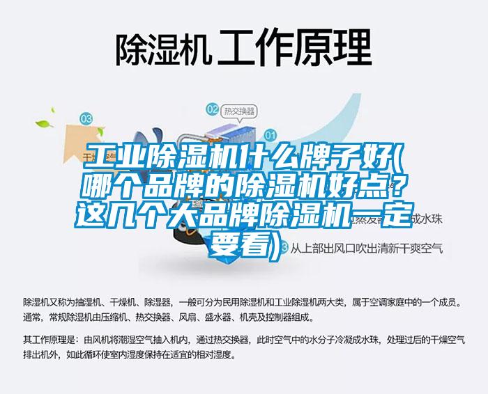 工业芭乐APP下载官网入口新版什么牌子好(哪个品牌的芭乐APP下载官网入口新版好点？这几个大品牌芭乐APP下载官网入口新版一定要看)