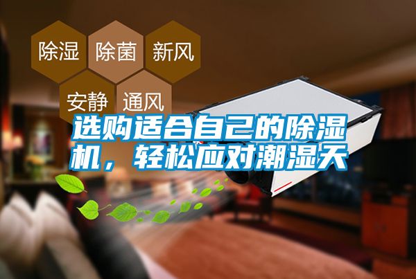 选购适合自己的芭乐APP下载官网入口新版，轻松应对潮湿天