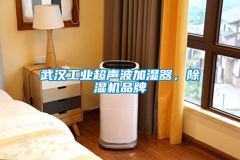 武汉工业超声波加湿器，芭乐APP下载官网入口新版品牌