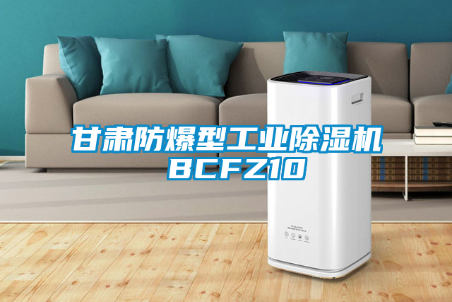 甘肃防爆型工业芭乐APP下载官网入口新版 BCFZ10