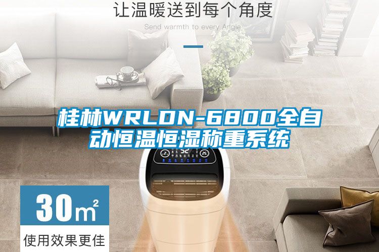 桂林WRLDN-6800全自动恒温恒湿称重系统