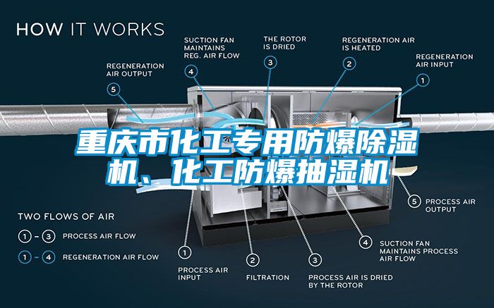 重庆市化工专用防爆芭乐APP下载官网入口新版、化工防爆抽湿机