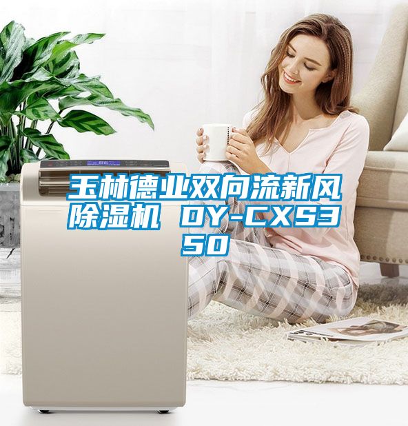 玉林德业双向流新风芭乐APP下载官网入口新版 DY-CXS350