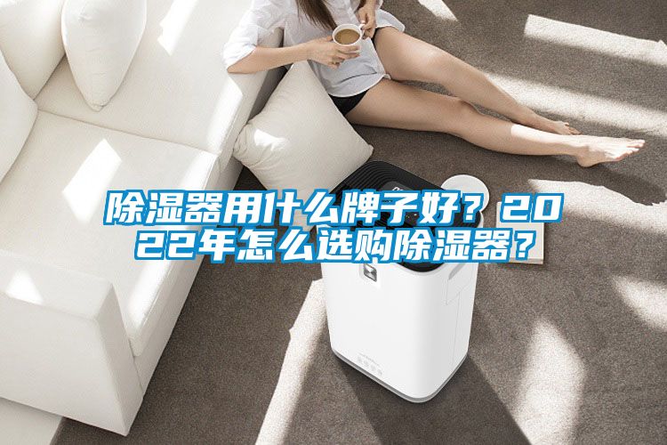 除湿器用什么牌子好？2022年怎么选购除湿器？