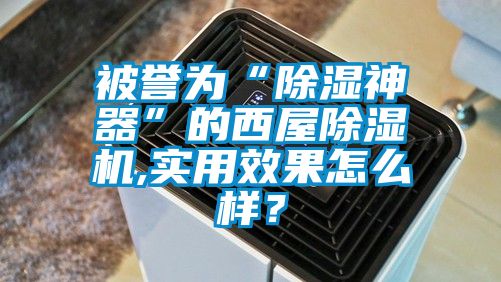 被誉为“除湿神器”的西屋芭乐APP下载官网入口新版,实用效果怎么样？