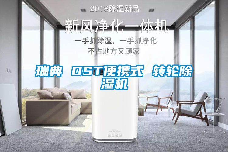 瑞典 DST便携式 转轮芭乐APP下载官网入口新版