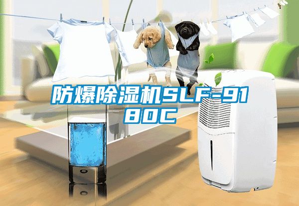 防爆芭乐APP下载官网入口新版SLF-9180C