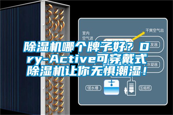 芭乐APP下载官网入口新版哪个牌子好？Dry-Active可穿戴式芭乐APP下载官网入口新版让你无惧潮湿！