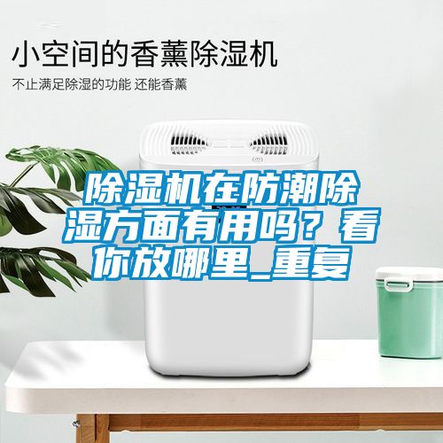 芭乐APP下载官网入口新版在防潮除湿方面有用吗？看你放哪里_重复