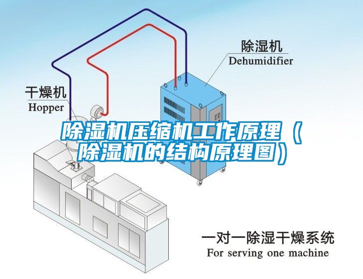 芭乐APP下载官网入口新版压缩机工作原理（芭乐APP下载官网入口新版的结构原理图）