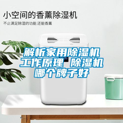 解析家用芭乐APP下载官网入口新版工作原理 芭乐APP下载官网入口新版哪个牌子好