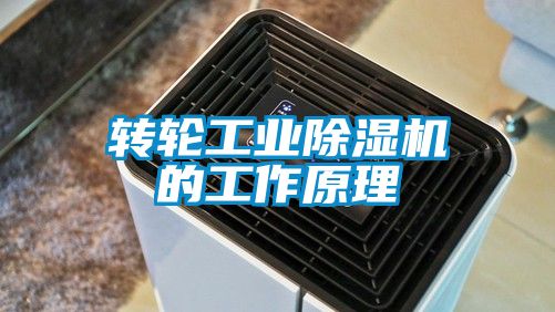 转轮工业芭乐APP下载官网入口新版的工作原理