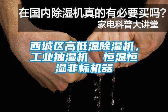 西城区高低温芭乐APP下载官网入口新版，工业抽湿机  恒温恒湿非标机器