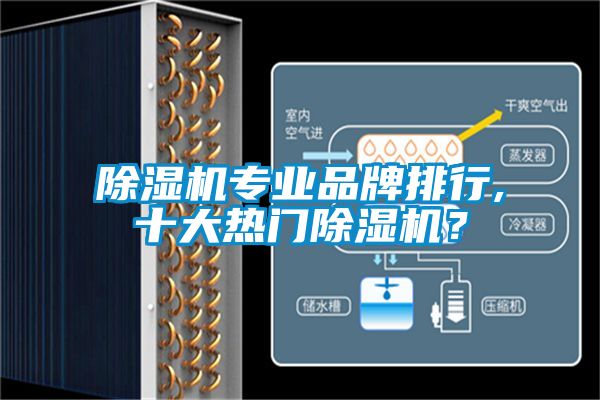 芭乐APP下载官网入口新版专业品牌排行,十大热门芭乐APP下载官网入口新版？