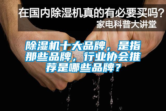 芭乐APP下载官网入口新版十大品牌，是指那些品牌，行业协会推荐是哪些品牌？