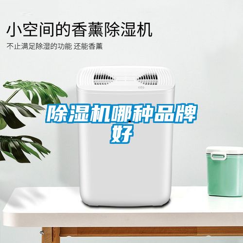 芭乐APP下载官网入口新版哪种品牌好