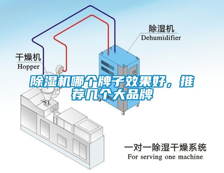 芭乐APP下载官网入口新版哪个牌子效果好，推荐几个大品牌