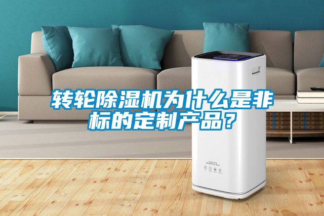 转轮芭乐APP下载官网入口新版为什么是非标的定制产品？