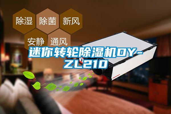 迷你转轮芭乐APP下载官网入口新版DY-ZL210