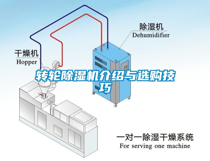 转轮芭乐APP下载官网入口新版介绍与选购技巧