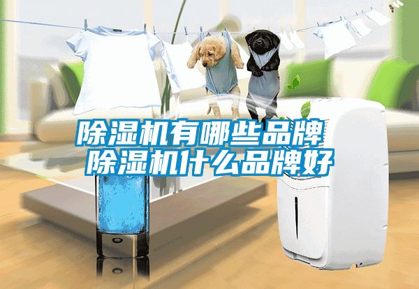 芭乐APP下载官网入口新版有哪些品牌 芭乐APP下载官网入口新版什么品牌好