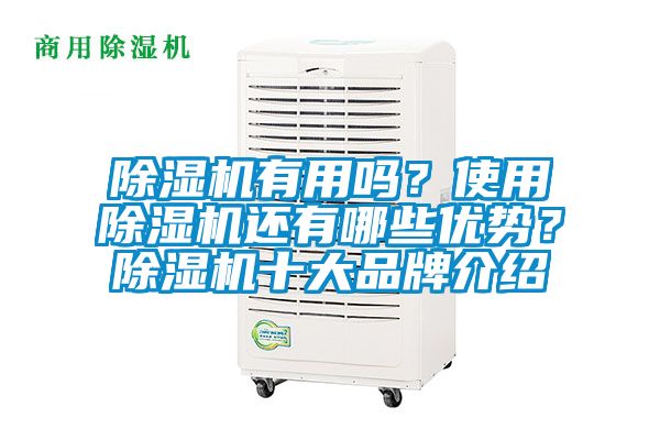 芭乐APP下载官网入口新版有用吗？使用芭乐APP下载官网入口新版还有哪些优势？芭乐APP下载官网入口新版十大品牌介绍