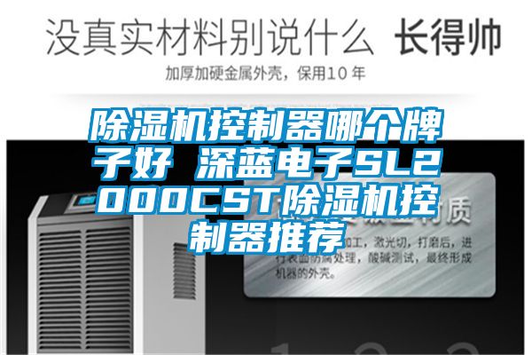 芭乐APP下载官网入口新版控制器哪个牌子好 深蓝电子SL2000CST芭乐APP下载官网入口新版控制器推荐