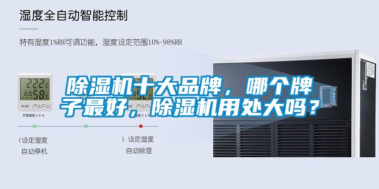 芭乐APP下载官网入口新版十大品牌，哪个牌子最好，芭乐APP下载官网入口新版用处大吗？