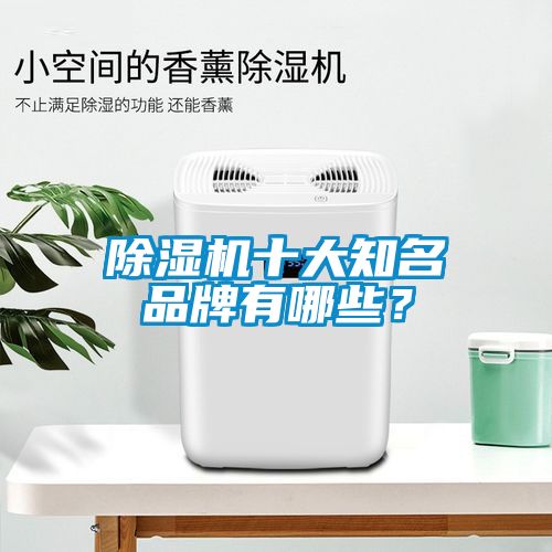 芭乐APP下载官网入口新版十大知名品牌有哪些？