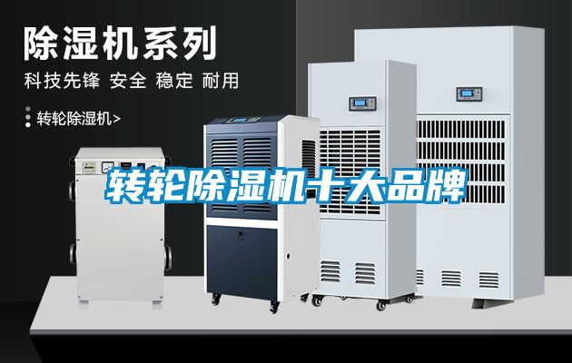 转轮芭乐APP下载官网入口新版十大品牌