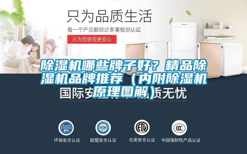 芭乐APP下载官网入口新版哪些牌子好？精品芭乐APP下载官网入口新版品牌推荐（内附芭乐APP下载官网入口新版原理图解）