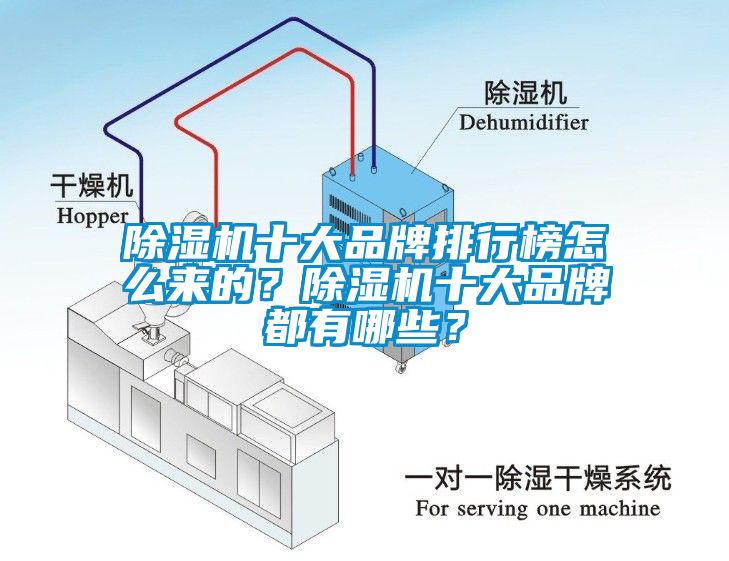 芭乐APP下载官网入口新版十大品牌排行榜怎么来的？芭乐APP下载官网入口新版十大品牌都有哪些？