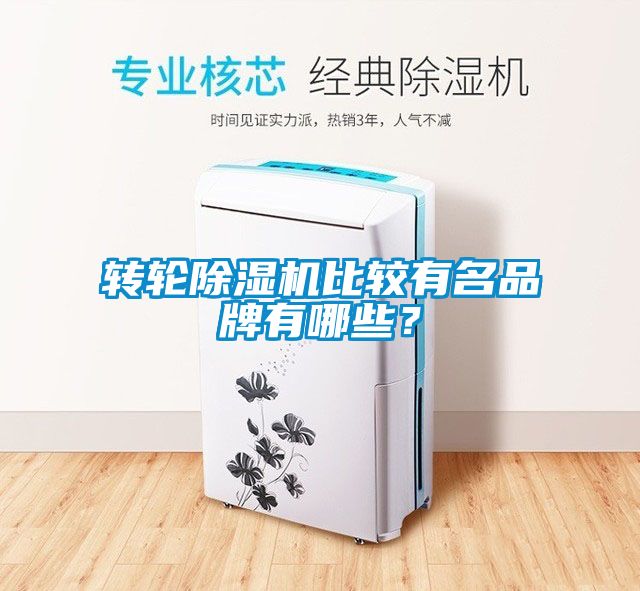 转轮芭乐APP下载官网入口新版比较有名品牌有哪些？