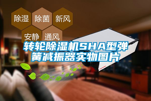 转轮芭乐APP下载官网入口新版SHA型弹簧减振器实物图片