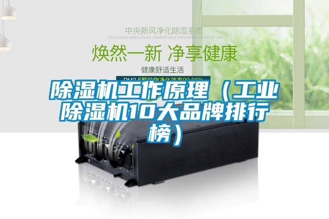 芭乐APP下载官网入口新版工作原理（工业芭乐APP下载官网入口新版10大品牌排行榜）