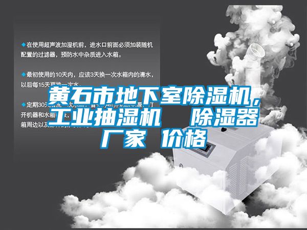 黄石市地下室芭乐APP下载官网入口新版，工业抽湿机  除湿器厂家 价格