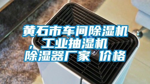 黄石市车间芭乐APP下载官网入口新版，工业抽湿机  除湿器厂家 价格