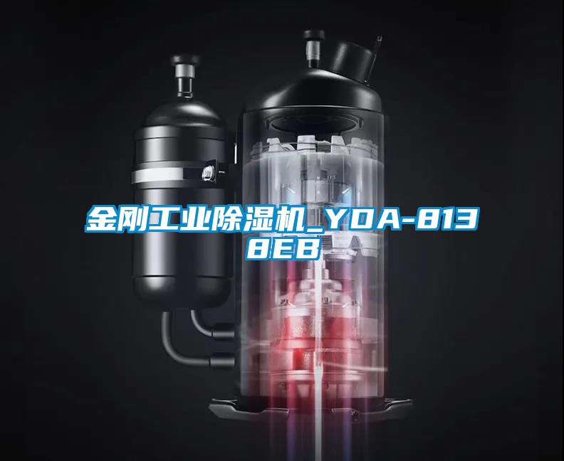 金刚工业芭乐APP下载官网入口新版_YDA-8138EB