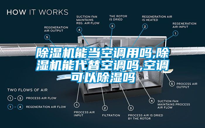 芭乐APP下载官网入口新版能当空调用吗,芭乐APP下载官网入口新版能代替空调吗,空调可以除湿吗