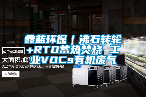 鑫蓝环保｜沸石转轮+RTO蓄热焚烧 工业VOCs有机废气